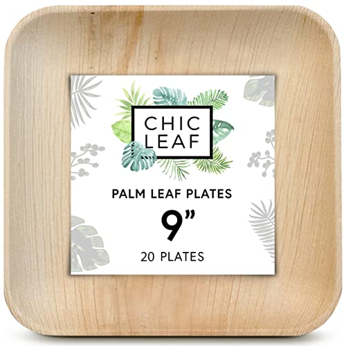 100% Compostable 9 Heavy-Duty Paper Plates Eco-Friendly Disposable Plates  20 Ct