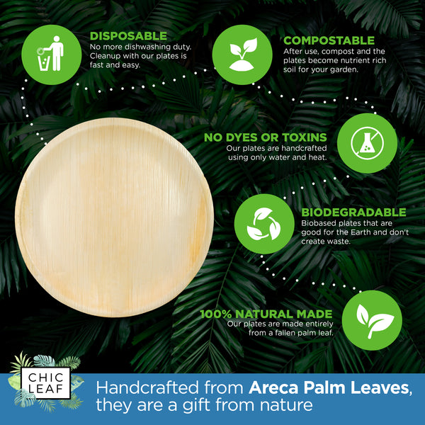 Palm Leaf Round Plates 10 Inch (Set of 25/50/100) - FREE US Shipping