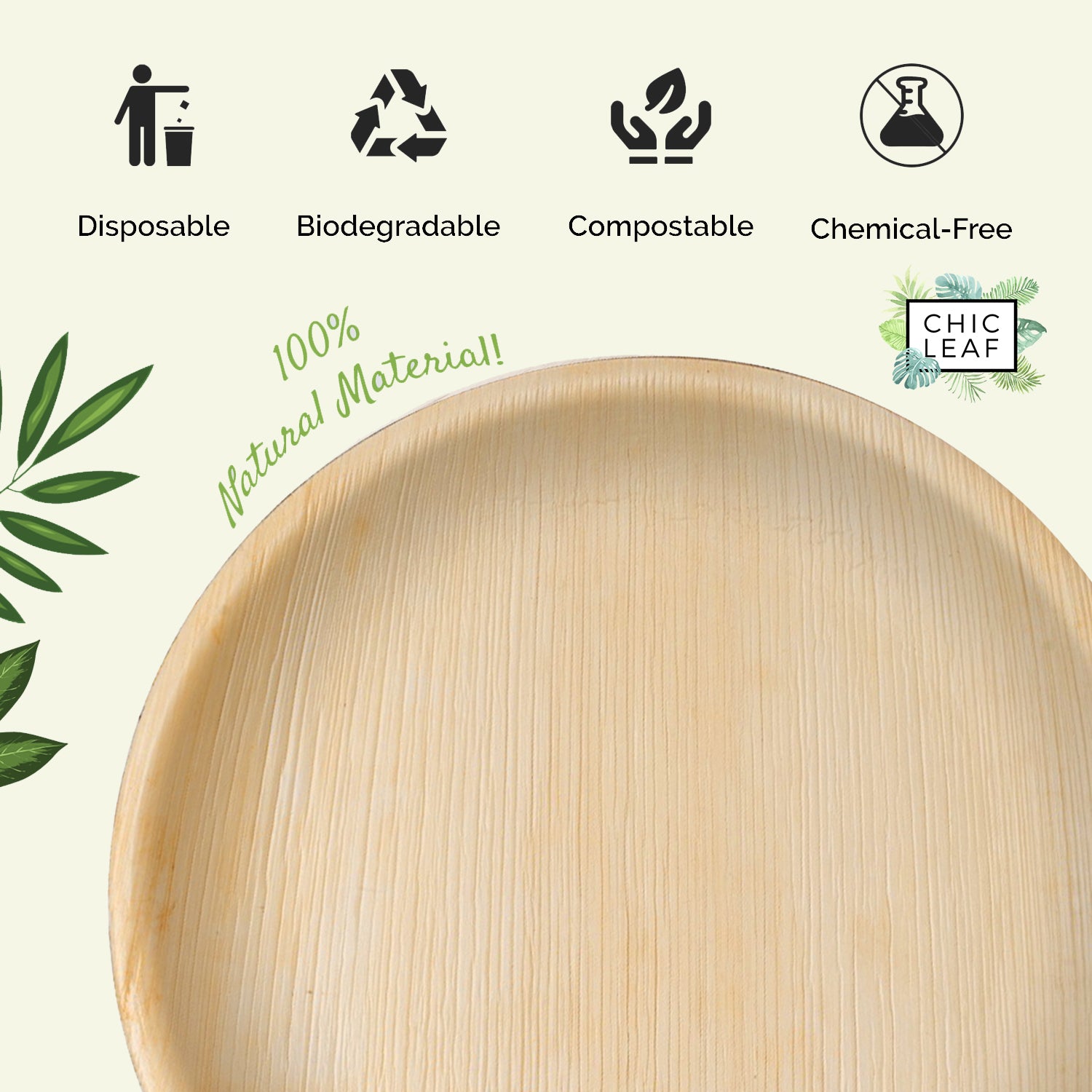 100% Compostable Disposable Paper Plates Bulk [9 50 Pack], Bamboo Plates,  Eco Friendly — Earth's Natural Alternative®